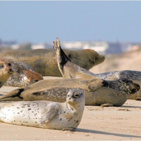 Surf Vue Mer 100M Plage Berck Zewnętrze zdjęcie