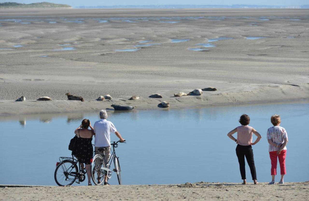 Surf Vue Mer 100M Plage Berck Zewnętrze zdjęcie